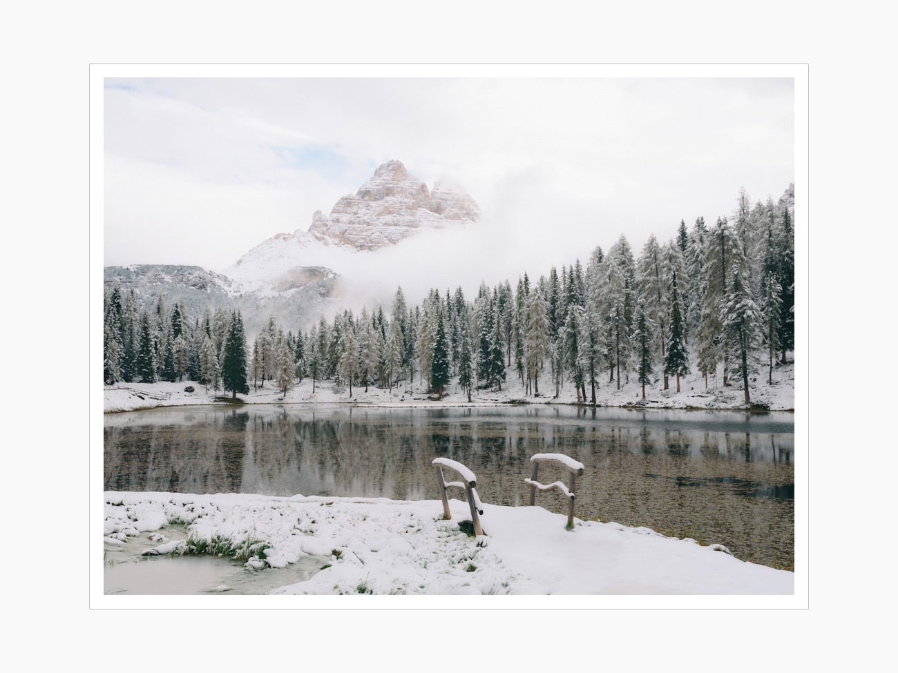 Max Schiefele Alle Bilder  DSF2279